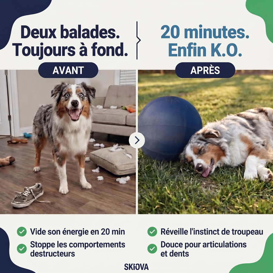 Avant / Après