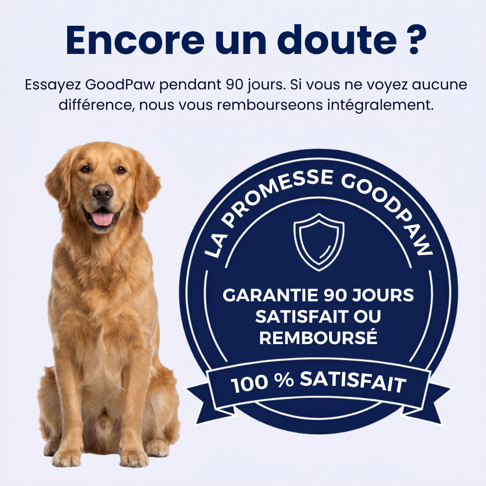 GoodPaw™ — Une cuillère par jour, pour agir à la racine des grosseurs
