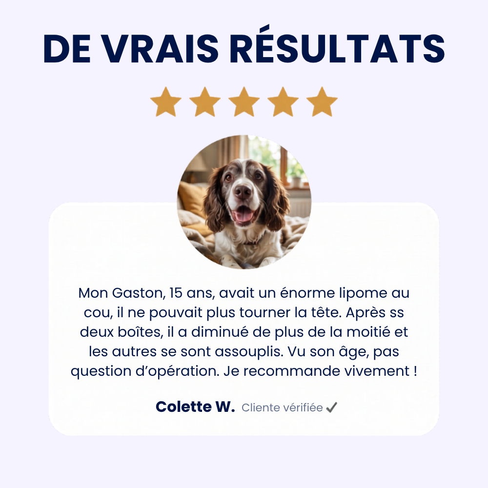 GoodPaw™ — Une cuillère par jour, pour agir à la racine des grosseurs