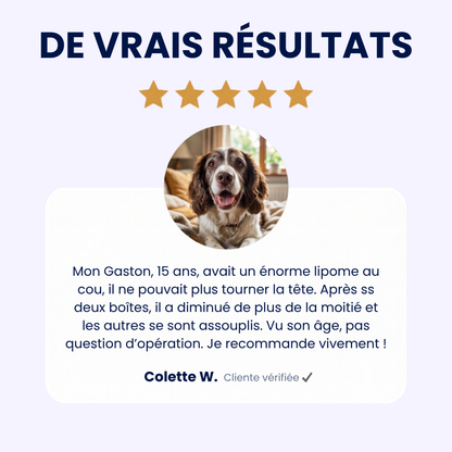 GoodPaw™ — Une cuillère par jour, pour agir à la racine des grosseurs