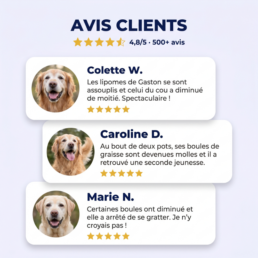 GoodPaw™ — Une cuillère par jour, pour agir à la racine des grosseurs