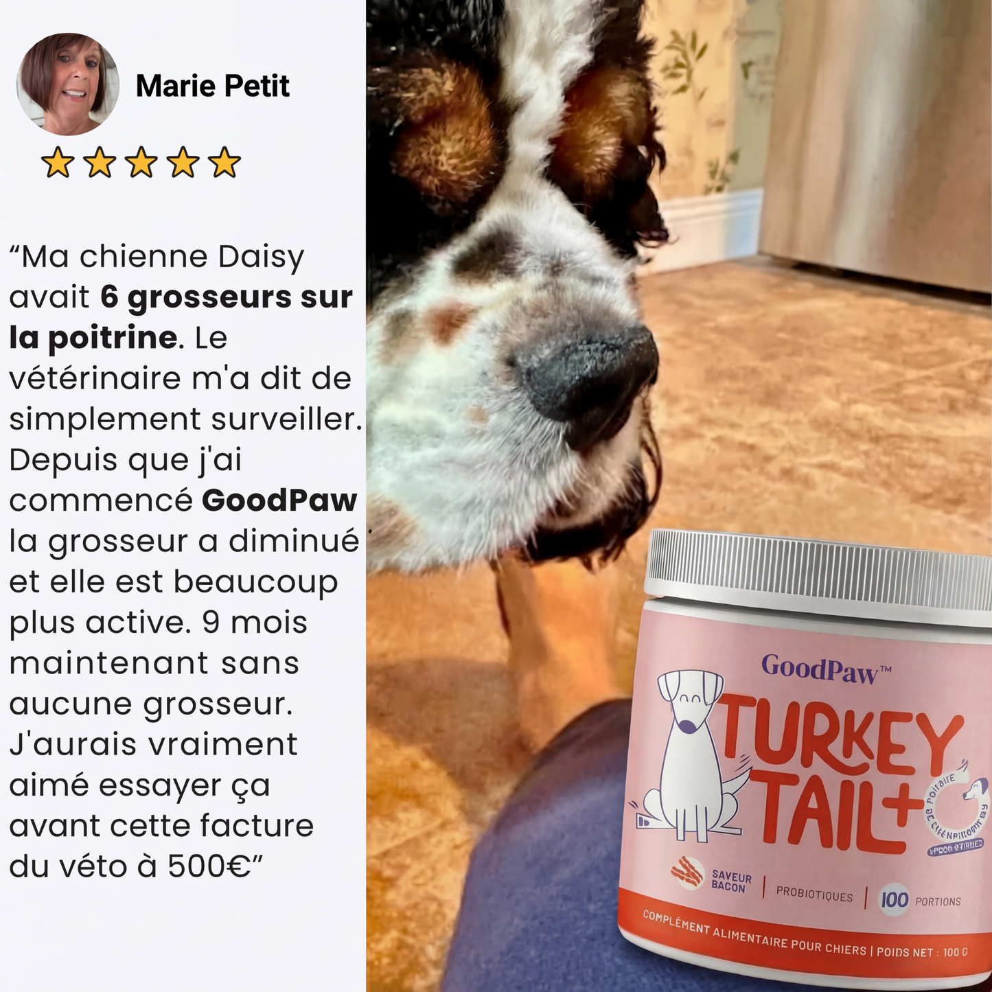 GoodPaw™ – Le complément quotidien pour la santé de votre chien