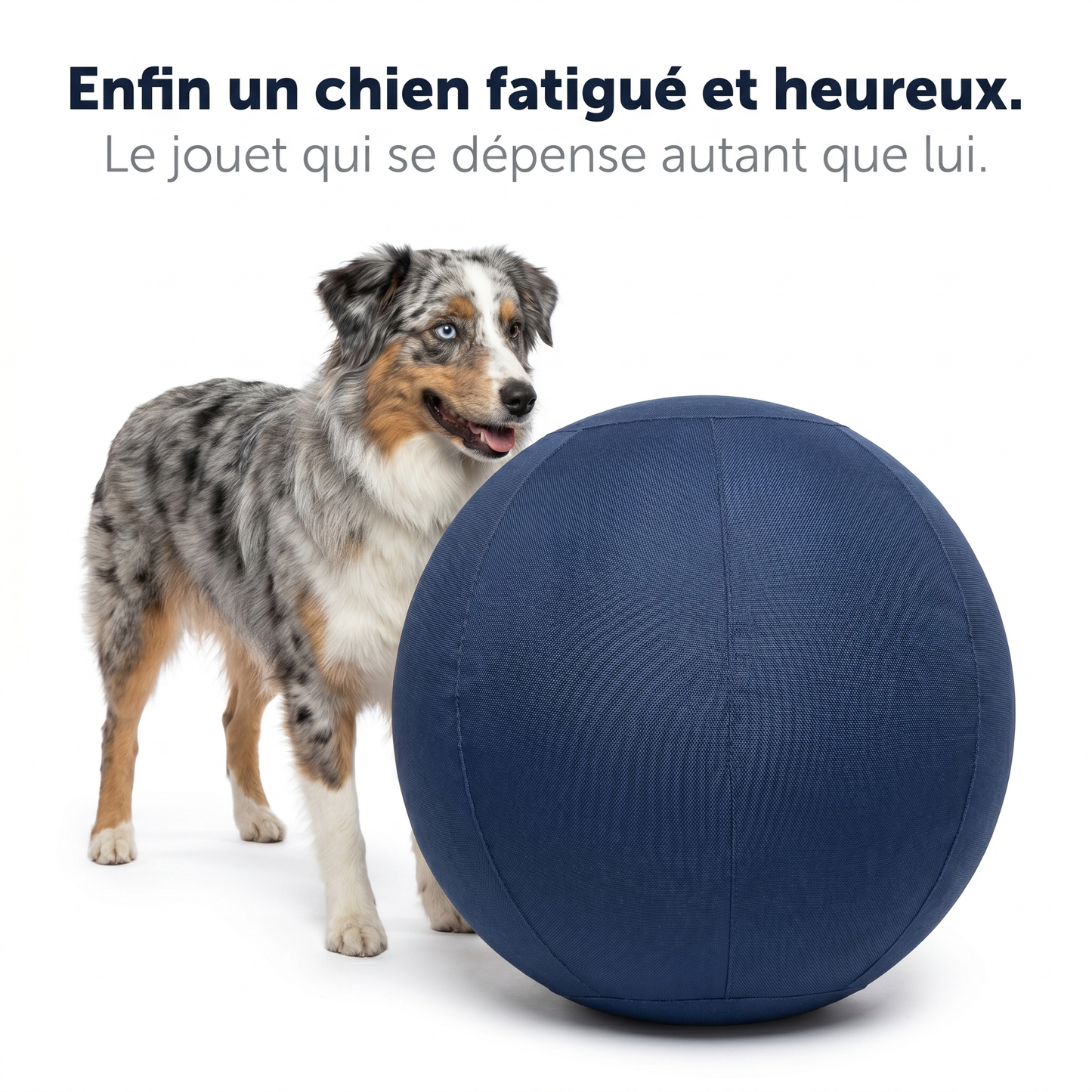 Tornado Ball -  La balle qui épuise enfin les chiens infatigables