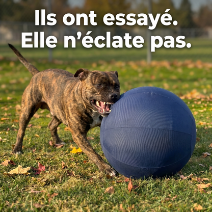 Tornado Ball -  La balle qui épuise enfin les chiens infatigables