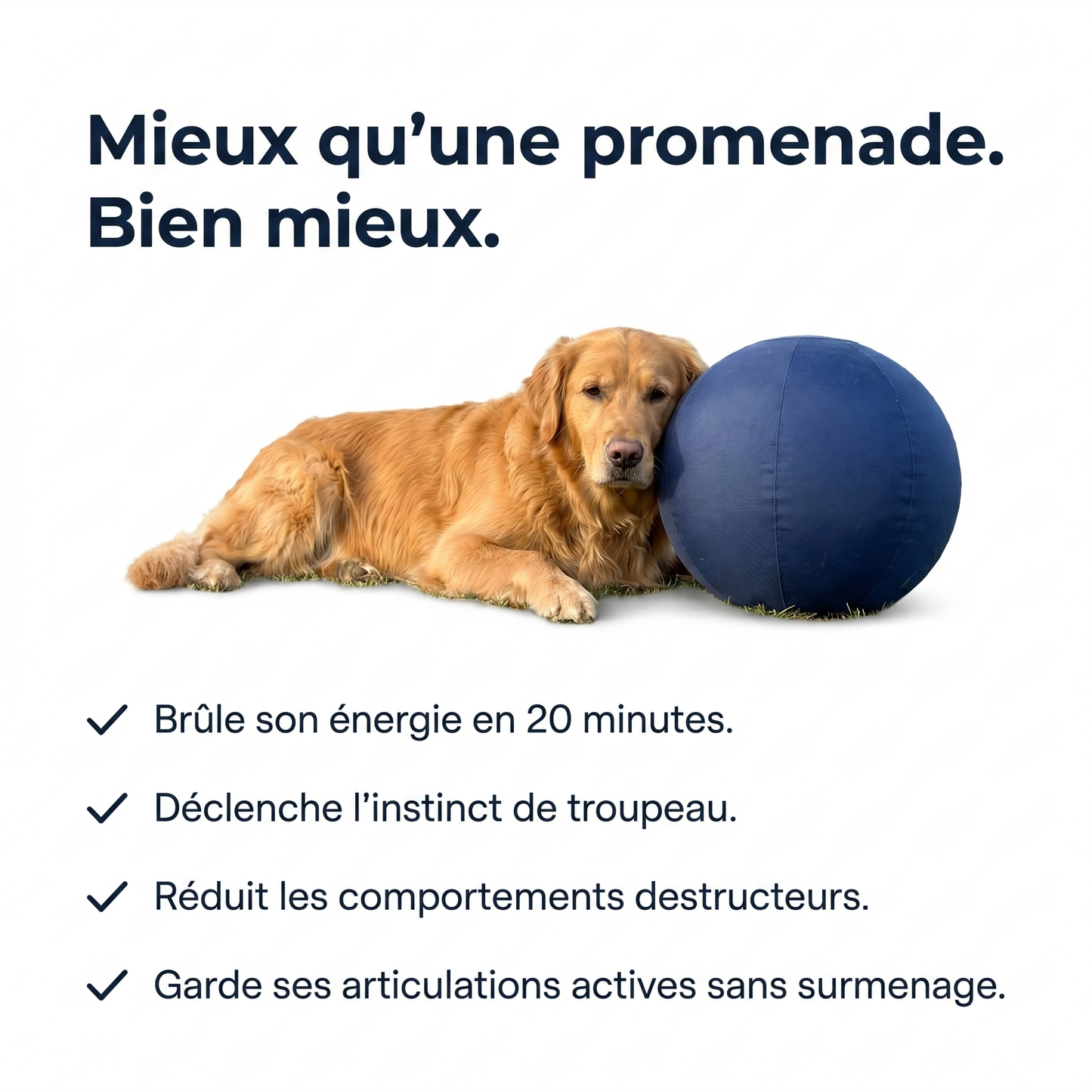 Tornado Ball -  La balle qui épuise enfin les chiens infatigables