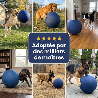 Tornado Ball -  La balle qui épuise enfin les chiens infatigables