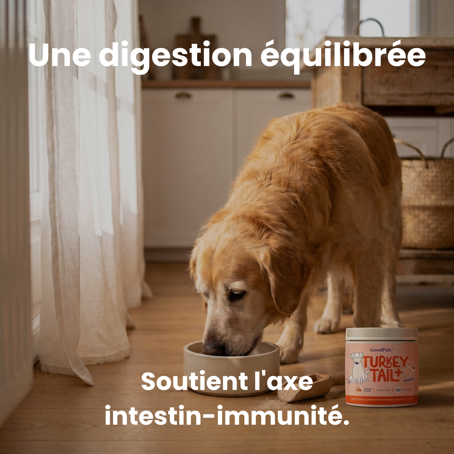 GoodPaw™ – Le complément quotidien pour la santé de votre chien