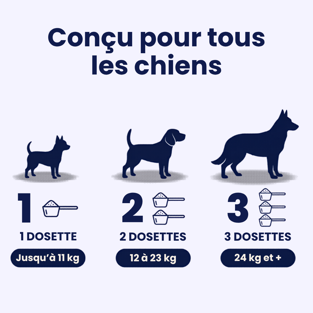 GoodPaw™ — Une cuillère par jour, pour agir à la racine des grosseurs