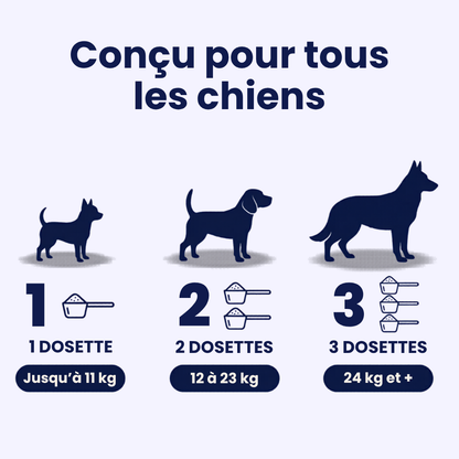 GoodPaw™ — Une cuillère par jour, pour agir à la racine des grosseurs