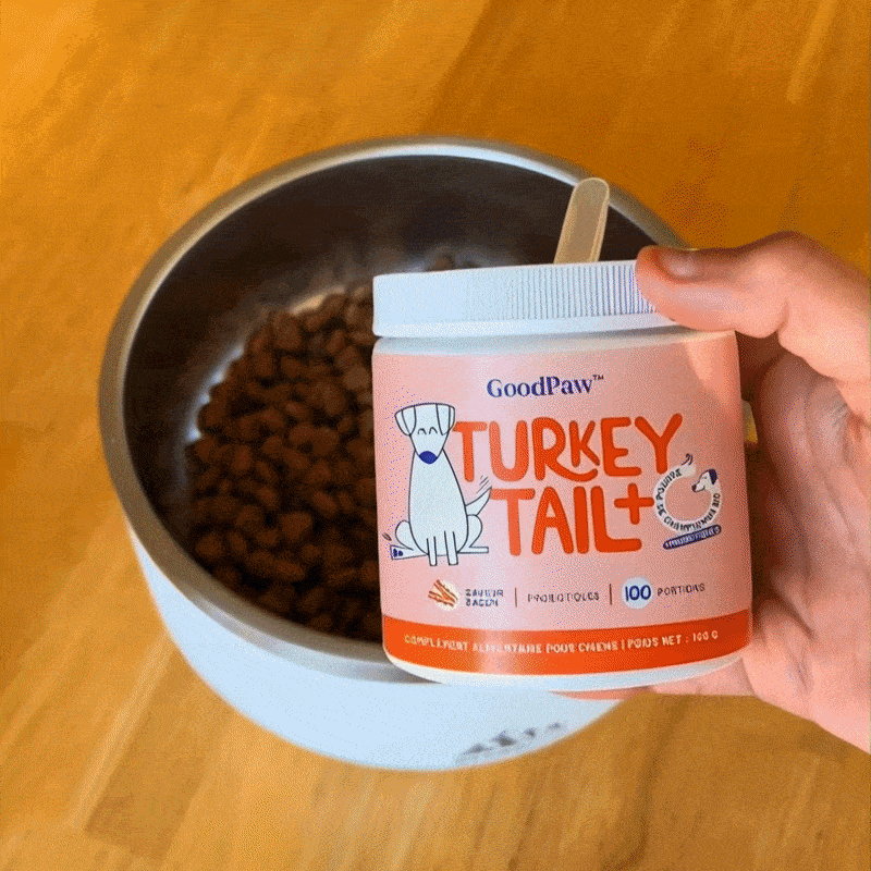 GoodPaw™ – Le complément quotidien pour la santé de votre chien