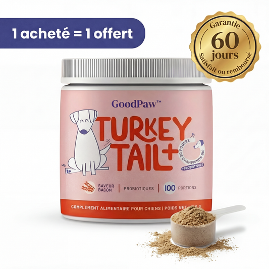 GoodPaw™ – Le complément quotidien pour la santé de votre chien.