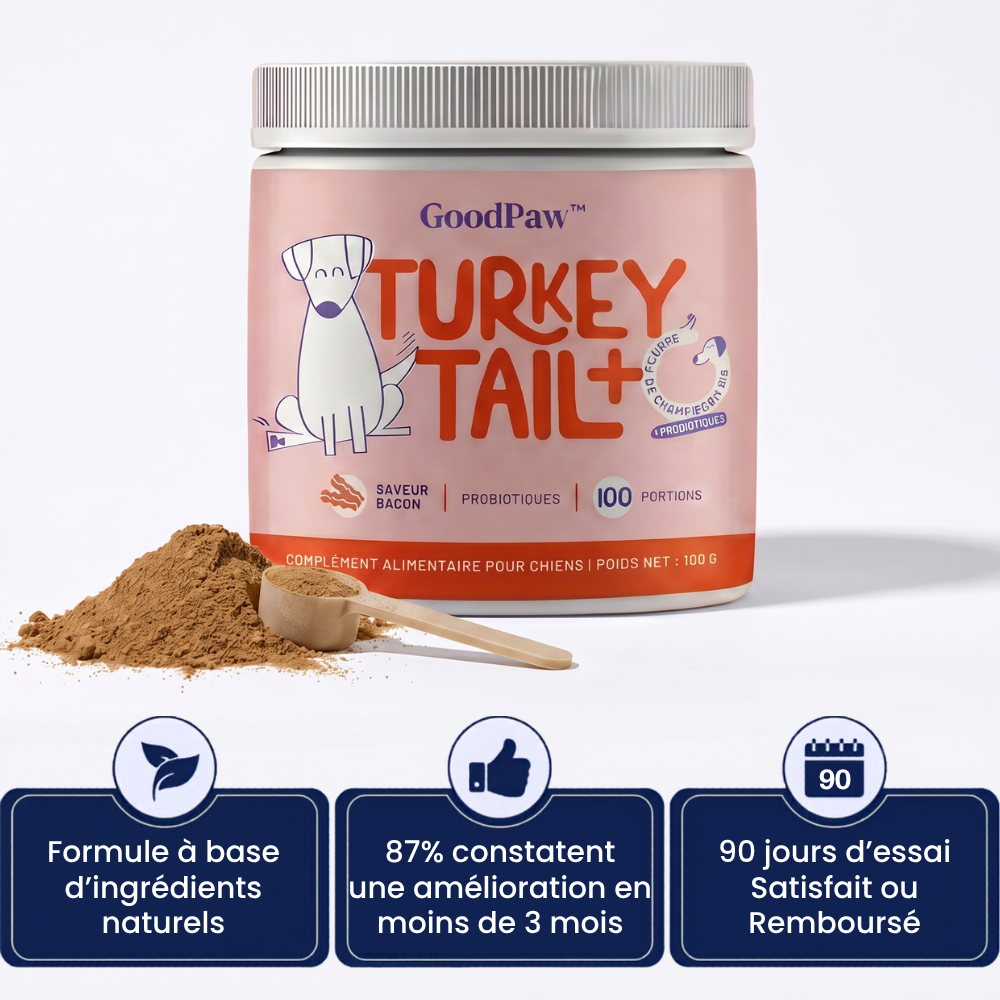 GoodPaw™ – Le complément quotidien pour la santé de votre chien