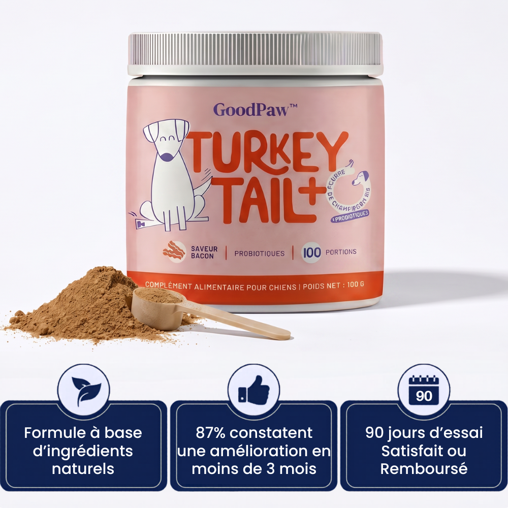 GoodPaw™ — Une cuillère par jour, pour agir à la racine des grosseurs