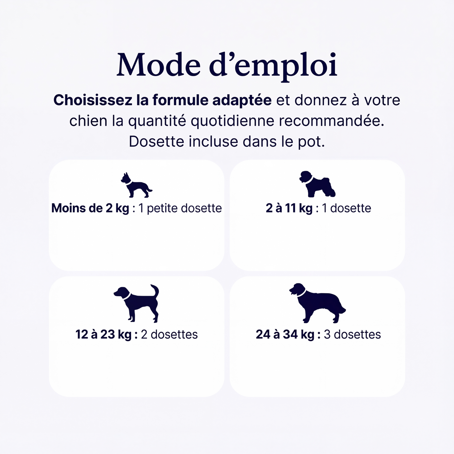 GoodPaw™ – Le complément quotidien pour la santé de votre chien