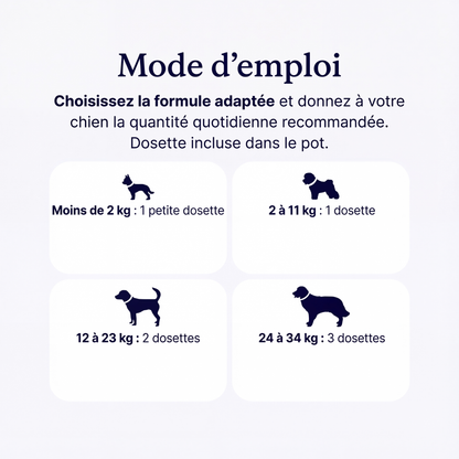 GoodPaw™ – Le complément quotidien pour la santé de votre chien