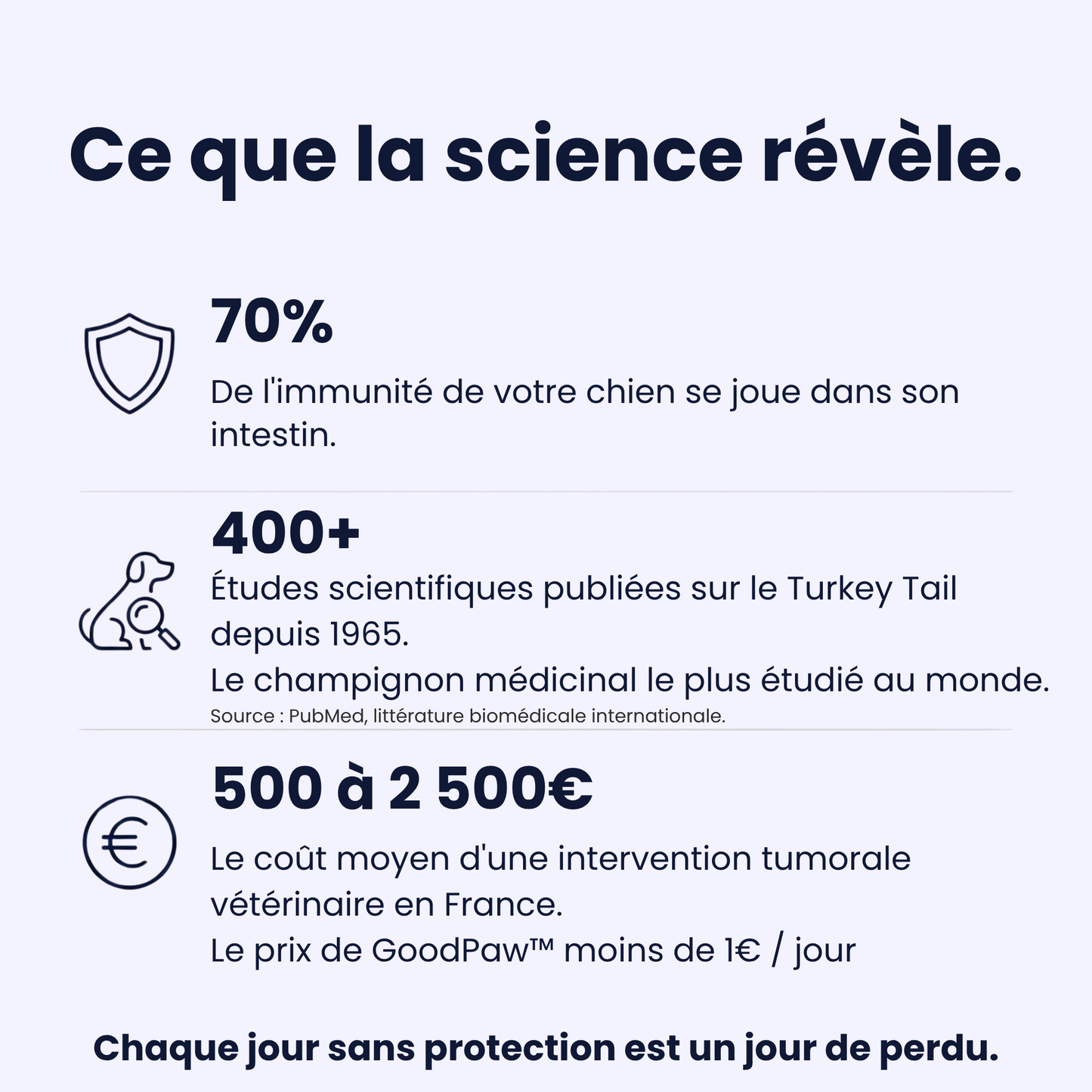 GoodPaw™ – Le complément quotidien pour la santé de votre chien