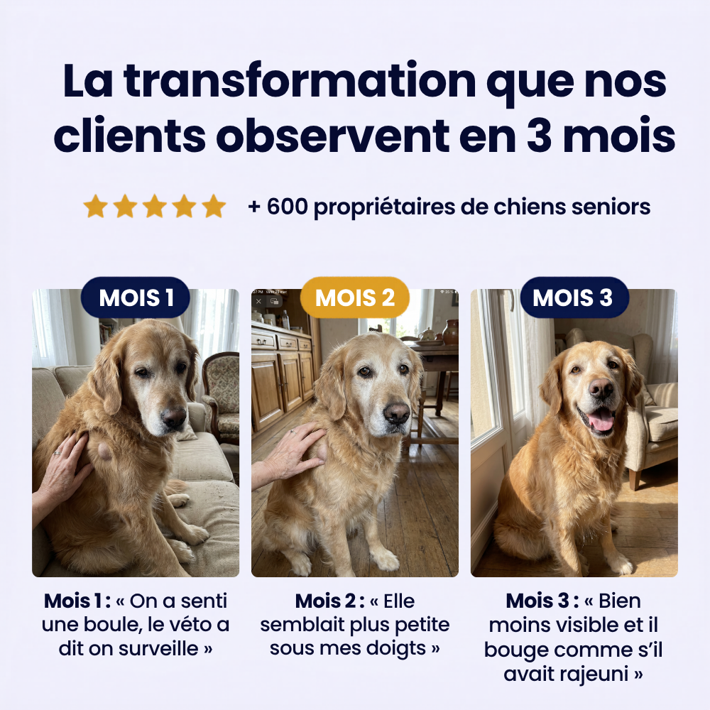 GoodPaw™ – Le complément quotidien pour la santé de votre chien