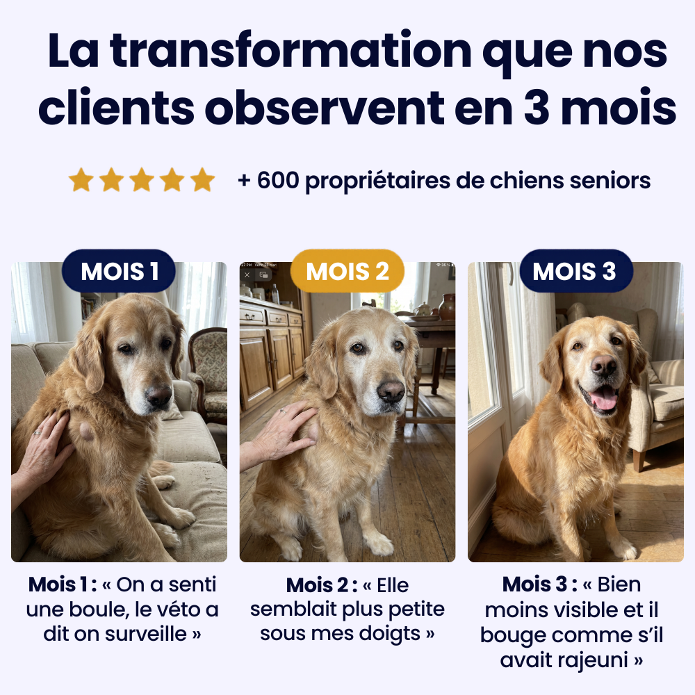 GoodPaw™ — Une cuillère par jour, pour agir à la racine des grosseurs