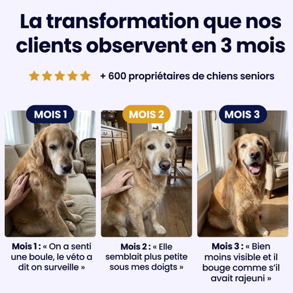 GoodPaw™ — Une cuillère par jour, pour agir à la racine des grosseurs