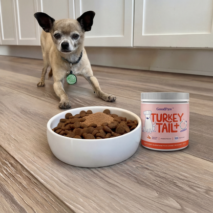 GoodPaw™ – Le complément quotidien pour la santé de votre chien