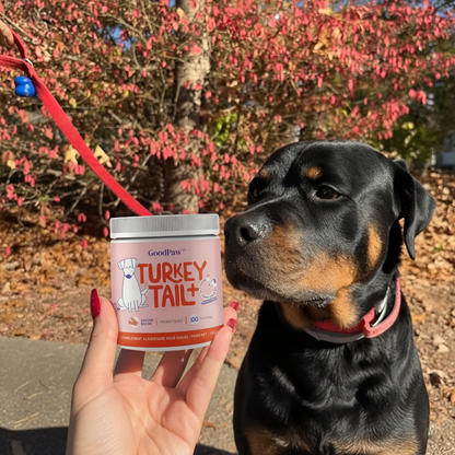 GoodPaw™ – Le complément quotidien pour la santé de votre chien