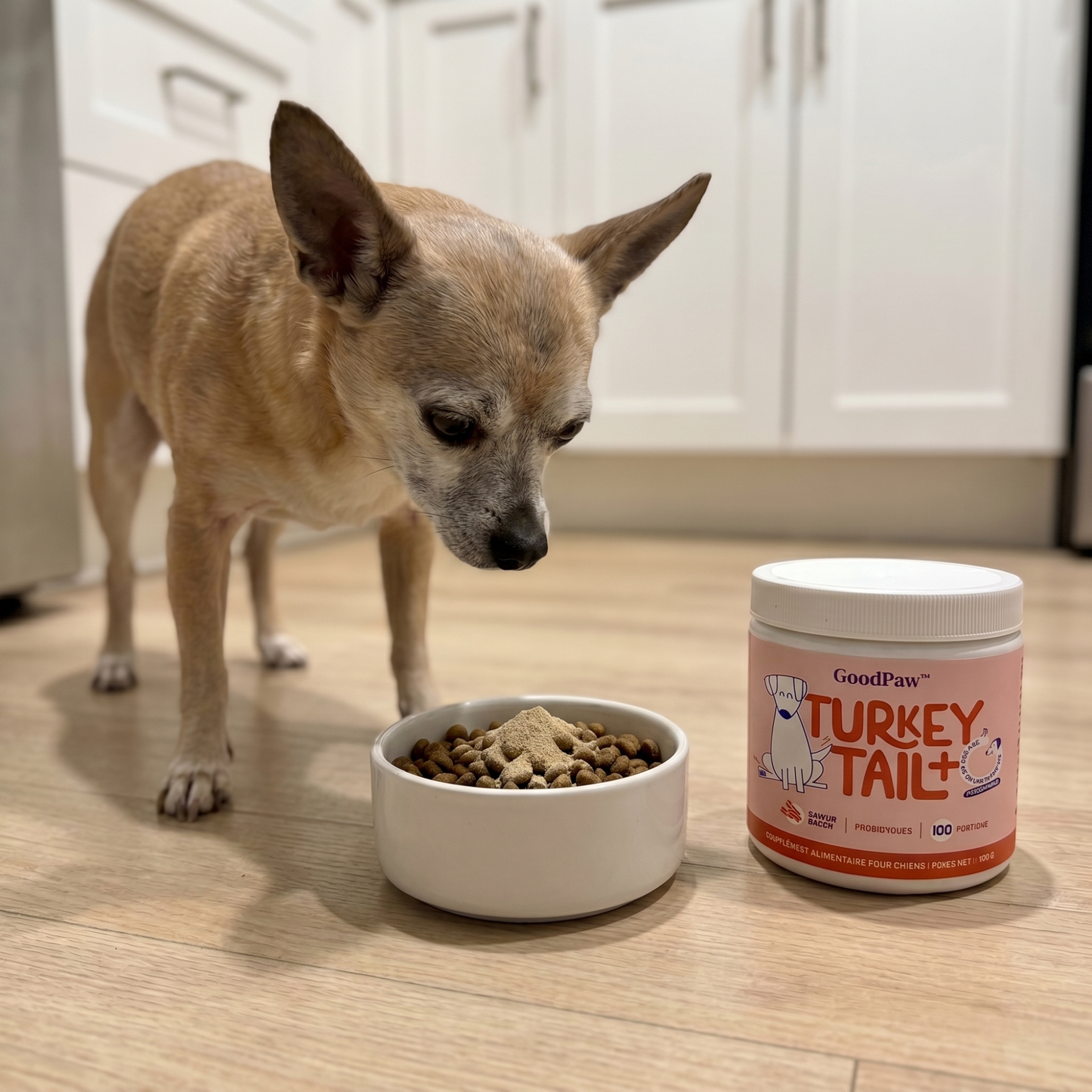 GoodPaw™ – Le complément quotidien pour la santé de votre chien