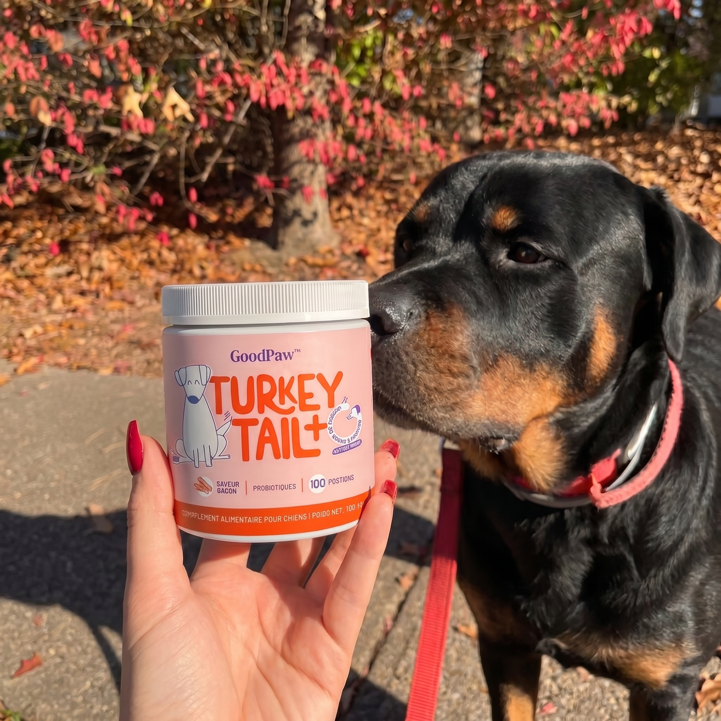GoodPaw™ – Le complément quotidien pour la santé de votre chien